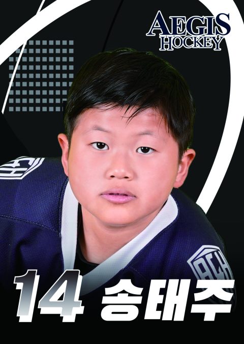TaeJu Song